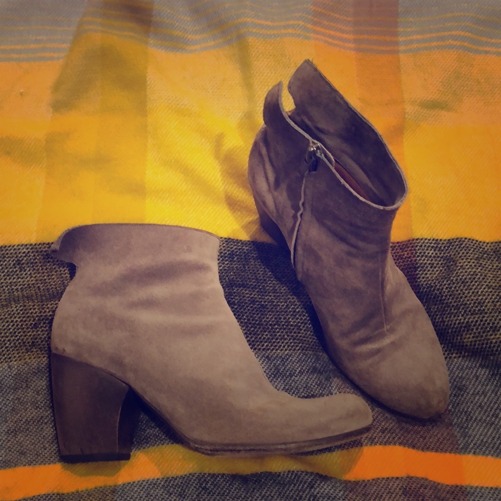 Coclico suede booties